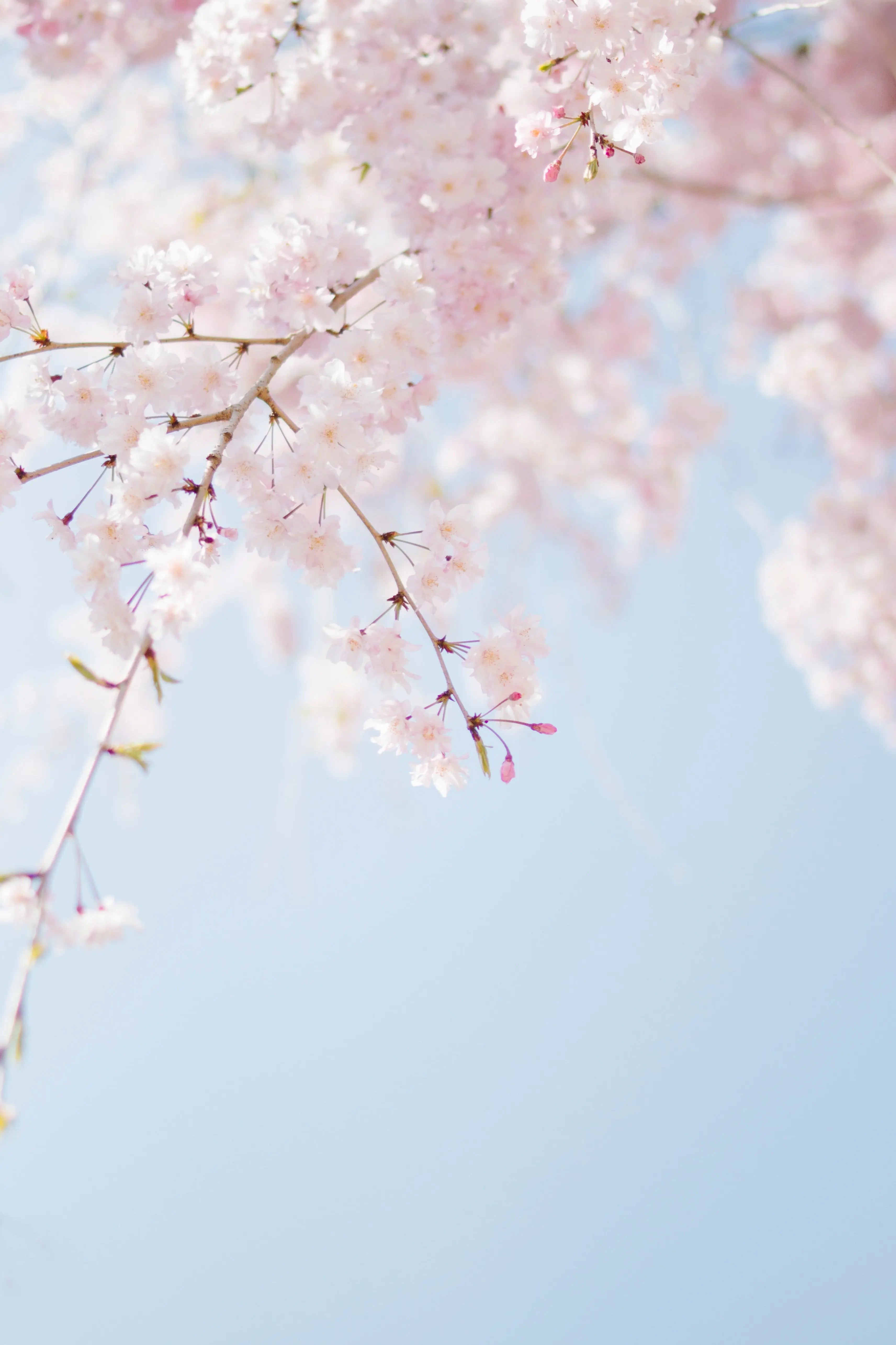 It’s springtime! - ELIXR
