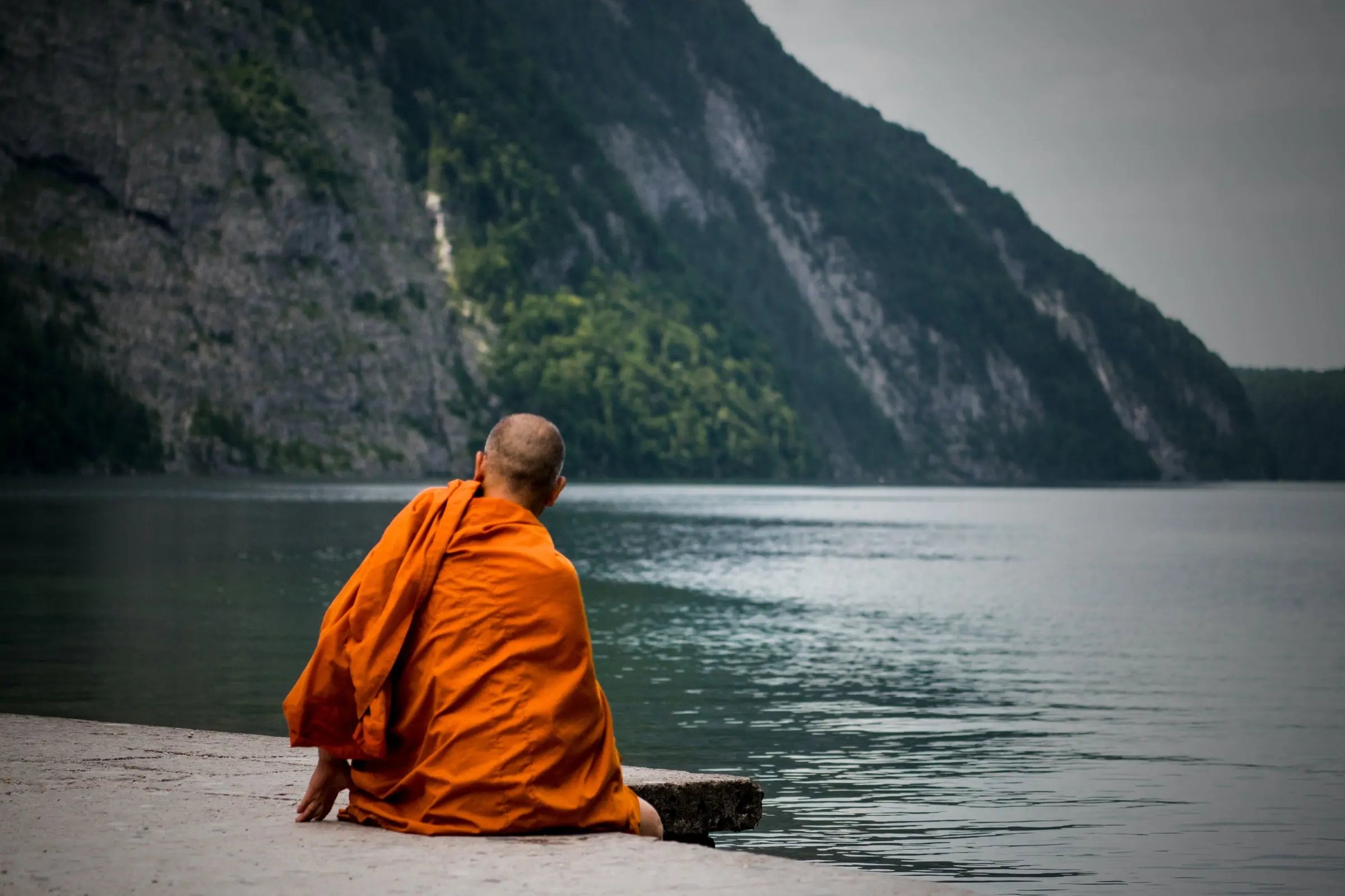 Warum wir mehr auf den Dalai Lama hören sollten - ELIXR