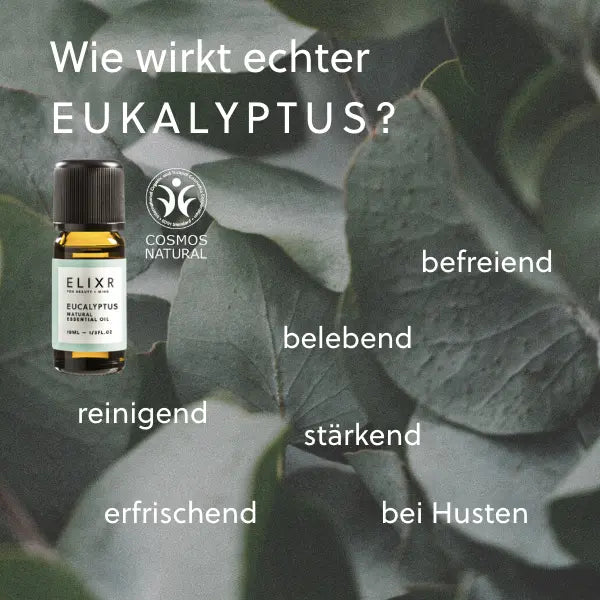 EUKALYPTUSÖL 10 ml Geschenk - ELIXR 3