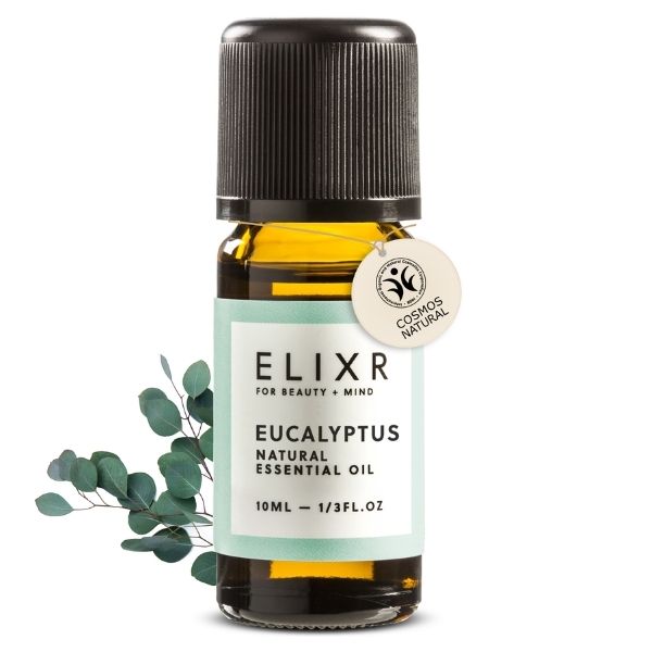 Eukalyptus Öl ätherisches Öl